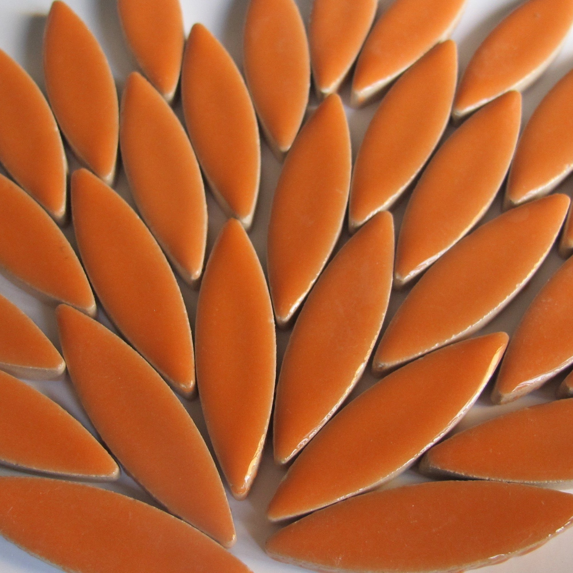 Large Ceramic Petals & Leaves for Mosaics Orange 4oz