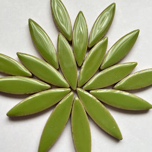 Large Ceramic Petals & Leaves for Mosaic Light Green 4oz