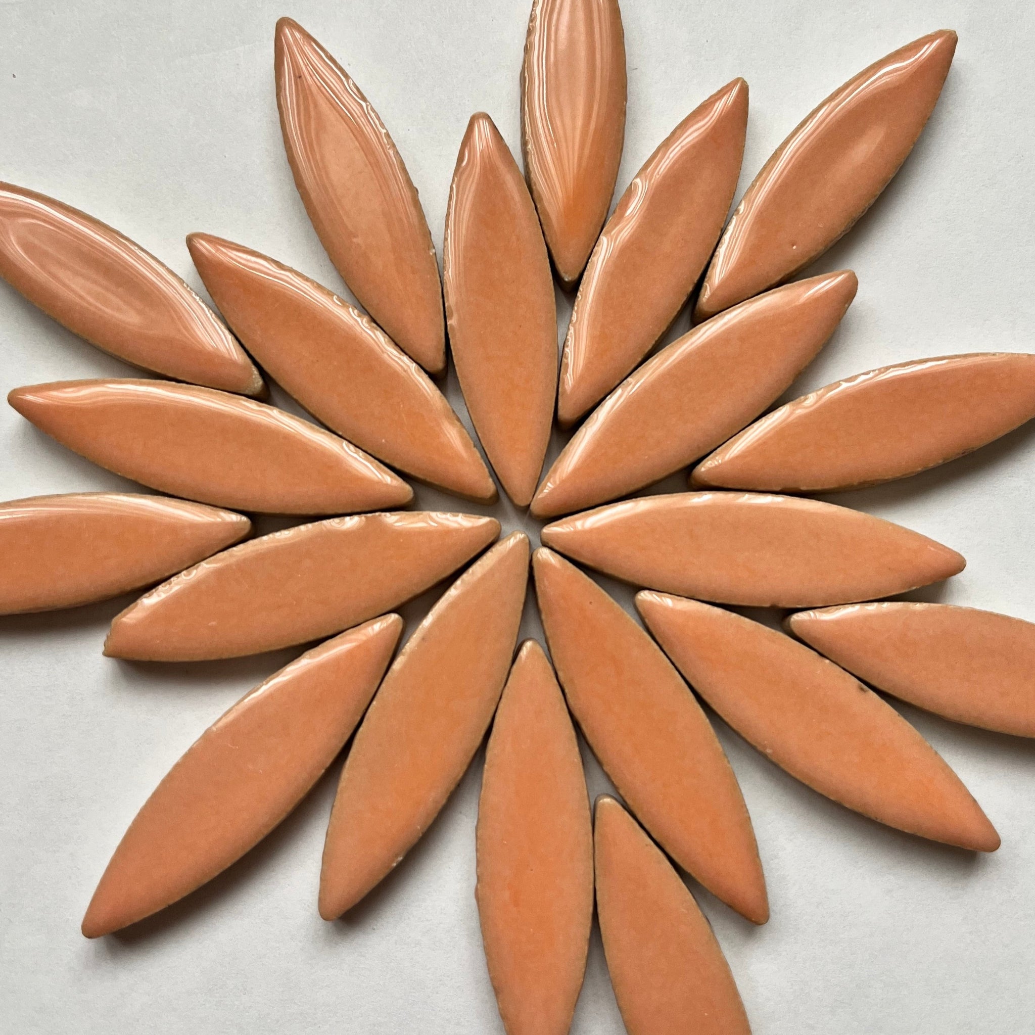 Large Ceramic Petals & Leaves for Mosaic Peach 4oz