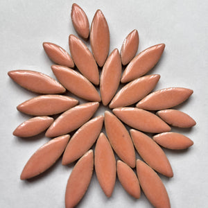 Ceramic Petals & Leaves for Mosaics - Peach Mix